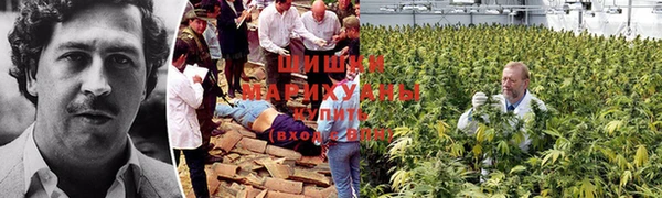 прущая мука Балабаново