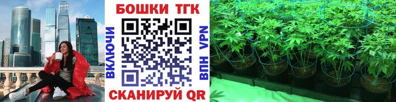 что такое наркотик  Шарья  Марихуана ГИДРОПОН 